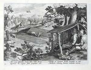 ヤン・コラート（1566-1628）によって刻まれた、 &39;Venationes、Ferarum、Avium、Piscium&39;（Of Hunting：Wild Beasts、Birds、Fish）のイラストによる、アヒルを狩猟するための新しい方法。フィリップス・ガレウス、アムスター 作： Jan van der Straet